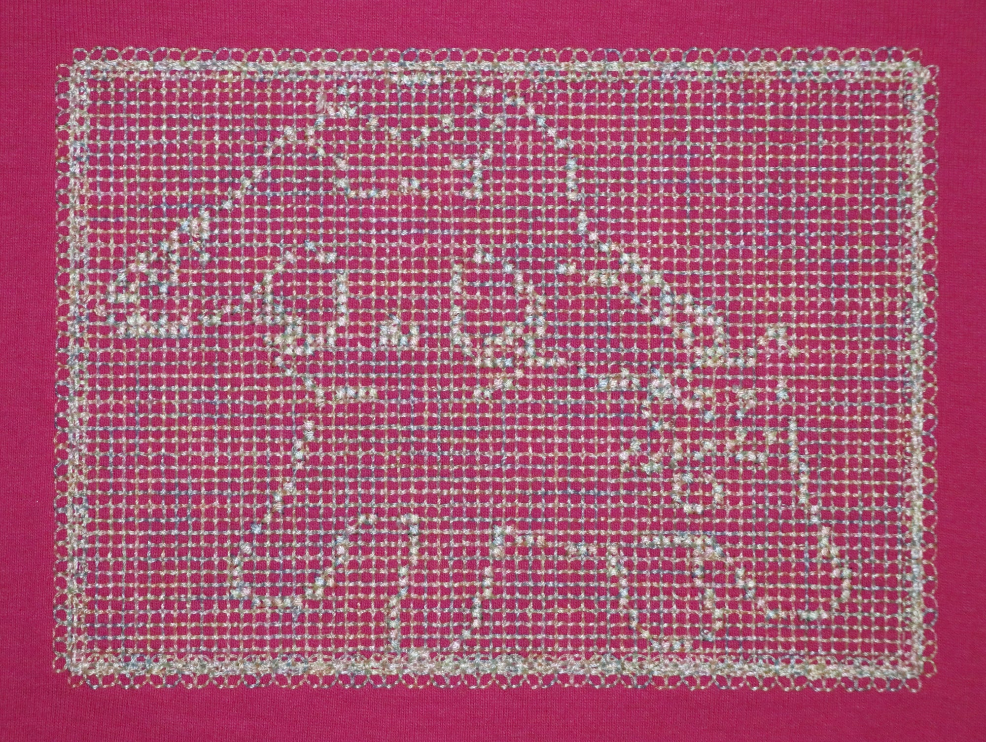 hot pink bambi crop